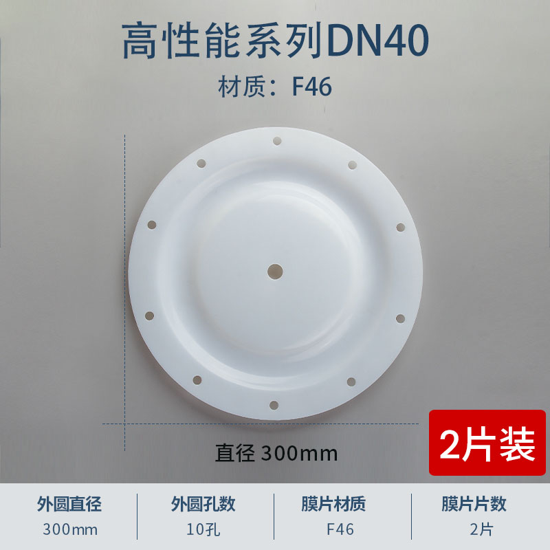 300mm 10孔特氟龙F46膜片